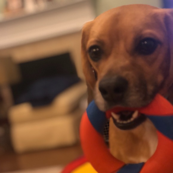 Meet your Posher, Richard - Picture 1 of 1